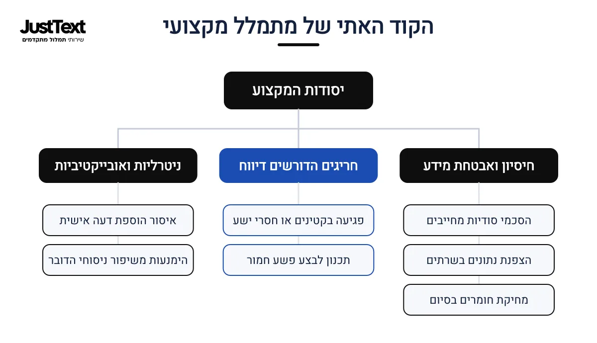 אינפוגרפיקה — הקוד האתי של מתמלל מקצועי: יסודות המקצוע